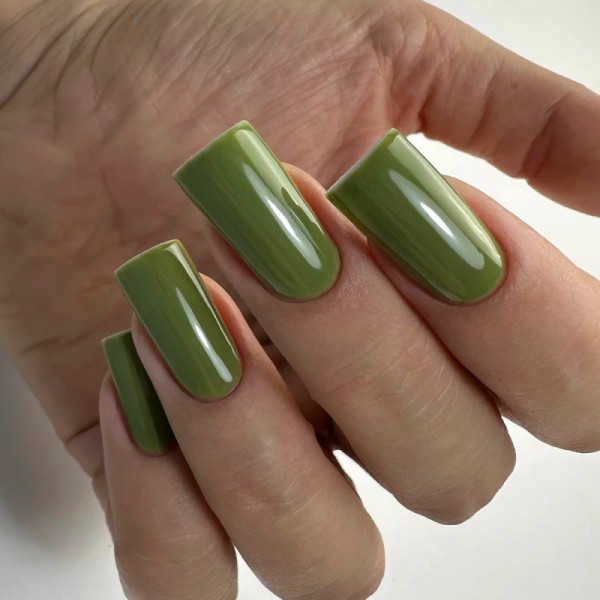 Гел лак PNB 8 мл 06L Quiet Olive